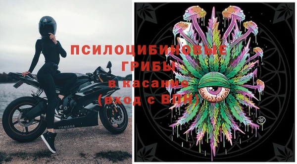 стаф Абдулино