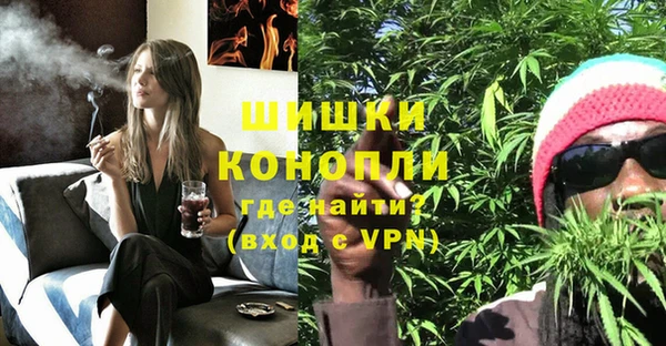 молекула духа Пересвет