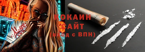 молекула духа Пересвет
