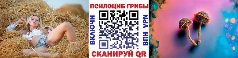 как найти   Звенигород  Галлюциногенные грибы мухоморы 